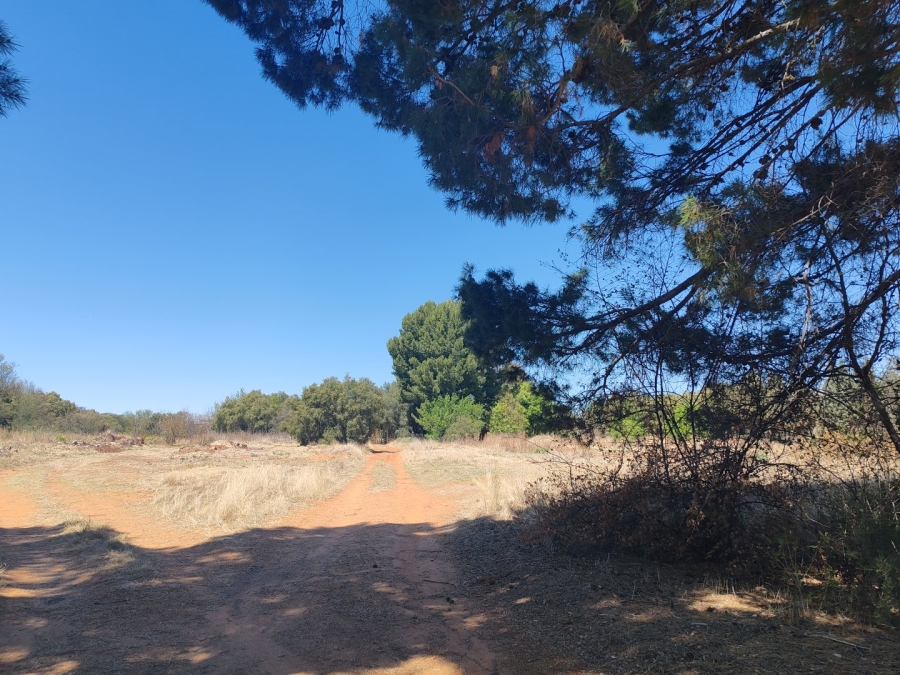 Commercial Property for Sale in Spitskop SH Free State